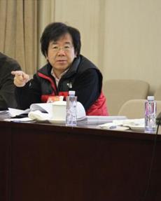 滕矢初在小組會上發言