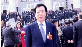 全國政協委員陳崎嶸