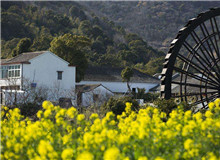 創意閱讀與寫作工作坊｜今天，我們如何面對新時代的鄉村？從與鄉村有關的人物開啟敘述，再指向具體村落，展現鄉土文化……[詳細]