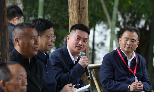 清溪村黨總支書記蔡真發言