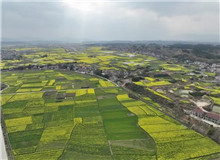 《家山》：生生不息的民族史詩　　在我的觀察當中，很多傳統的鄉村社會的東西，現在還是保留著，傳統文化也保存得比較好……[詳細]