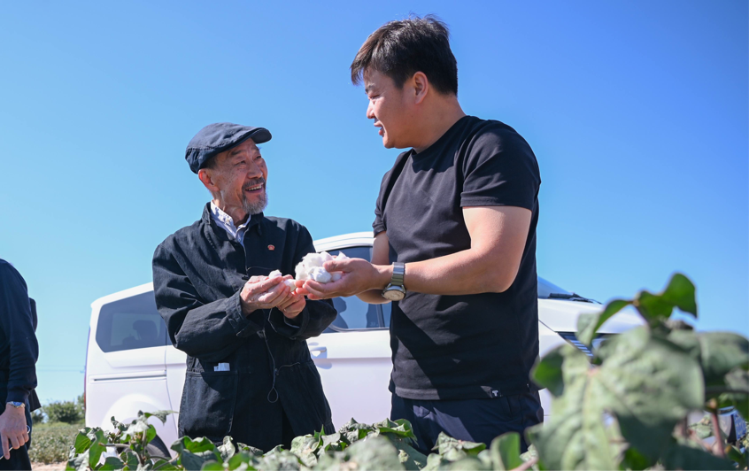 在瑪納斯縣北五岔鎮田家井村的棉田里，電影《援疆干部》主演李雪健正在了解棉花生長及電影取景地相關情況。