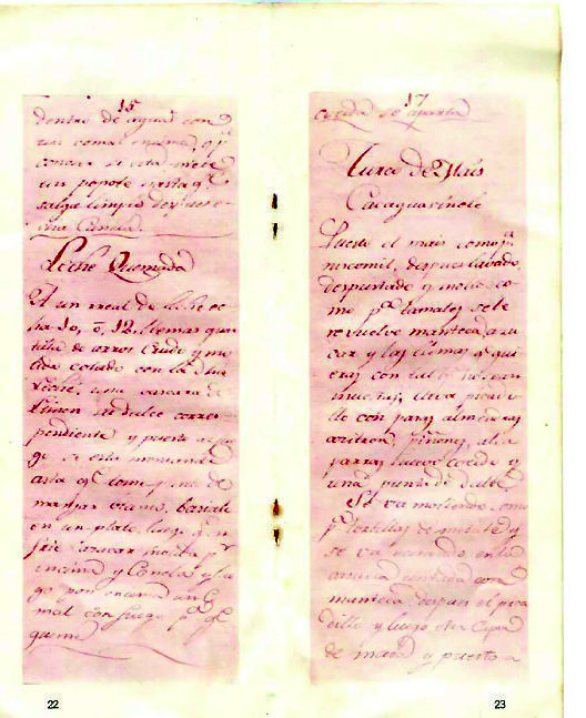 因為會做飯，胡安娜傳世的作品在詩歌、戲劇、隨筆之外多了一份——墨西哥最早的食譜。