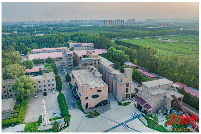 賈家莊“種子影院”。