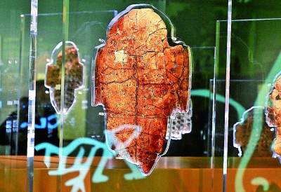 河南安陽殷墟博物館新館內展出的刻辭卜甲。 新華社記者 李安攝 