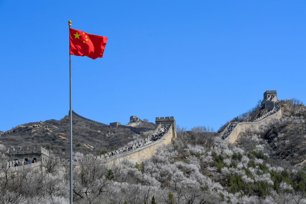 2024年4月7日，游客在山花盛開的八達嶺長城觀光游覽。新華社記者 鞠煥宗 攝