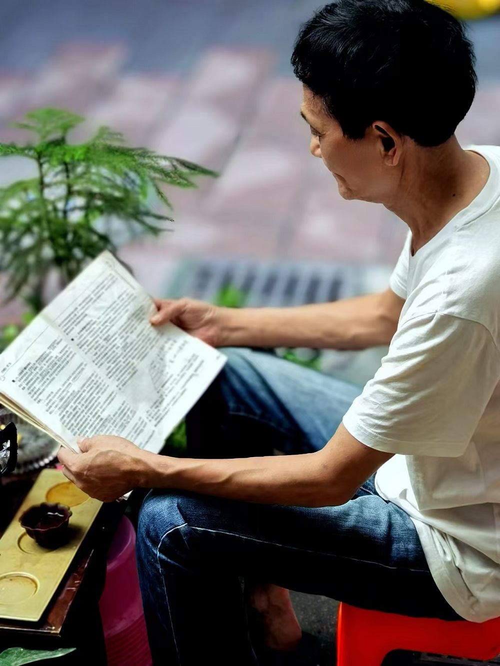 自從注冊作家網，在文友們的影響下，也開始為自己充電了。早上五點半起床，邊喝茶邊看書，最少堅持一個半小時，已經成為鐵打不動的規律