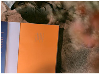 時代巨變的激流中，青春生命的成人禮