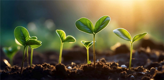 AI：少兒出版的“智”勝之道？