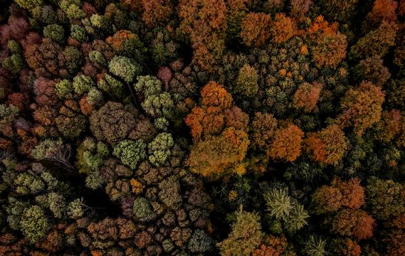 2024中國文學盤點：創獲豐富多樣 景象令人欣喜