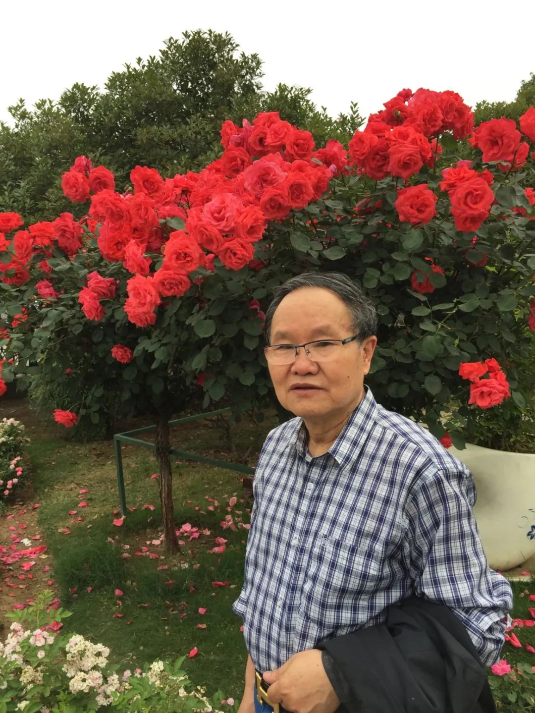 【劉慶邦，1951年生于河南沈丘。著有長篇小說《斷層》《遠方詩意》《平原上的歌謠》《紅煤》《遍地月光》《黑白男女》《女工繪》《花燈調》等十四部，中短篇小說集、散文集《走窯漢》《梅妞放羊》《遍地白花》《響器》《黃花繡》《到處有道》等七十余部?！秳c邦短篇小說編年》十二卷。短篇小說《鞋》獲第二屆魯迅文學獎。中篇小說《神木》《啞炮》獲第二屆和第四屆老舍文學獎。中篇小說《到城里去》和長篇小說《紅煤》分別獲第四屆、第五屆北京市文學藝術獎。長篇小說《遍地月光》獲第八屆茅盾文學獎提名。長篇小說《黑白男女》獲首屆吳承恩長篇小說獎。長篇小說《家長》獲第二屆南丁文學獎。長篇散文《陪護母親日記》獲第二屆孫犁散文獎。曾獲北京市首屆德藝雙馨獎，首屆林斤瀾杰出短篇小說作家獎，第十屆冰心散文獎。獲《北京文學》獎十五次；《十月》文學獎七次；《小說月報》百花獎八次等。根據其小說《神木》改編的電影《盲井》獲第53屆柏林電影藝術節銀熊獎。1990年加入中國作家協會，為中國煤礦作家協會名譽主席，北京作家協會原副主席，一級作家，北京市第十、第十一、第十二屆政協委員，中國作家協會第五、第六、第七、第八、第九屆全國委員會委員?！?></p>
<p style=