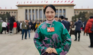 全國政協委員、山西藝術職業學院黨委委員、副院長苗潔