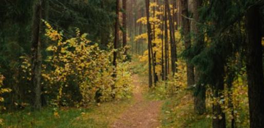 邵燕君：基于“書友經濟”的大規模文學生產——中國網絡文學的獨特屬性及其生產機制的建立