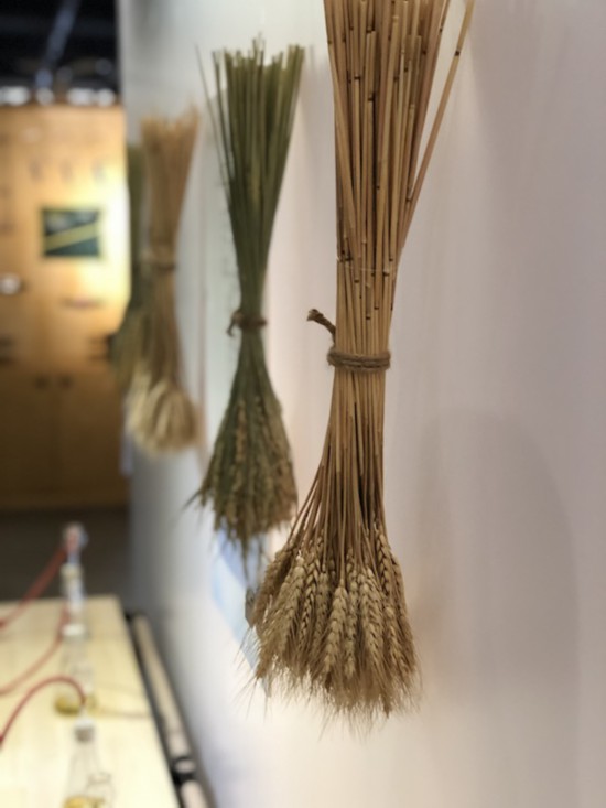 培德書院的展覽“冬藏”現場