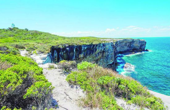 1769年，庫克中尉帶領“奮進號”萬里遠航，于1770年4月29日抵達悉尼東海岸，并把這個海灣命名為“植物灣”。如今的植物灣，碧水藍天，繁花點點，早已是另外一番景象。 植物灣